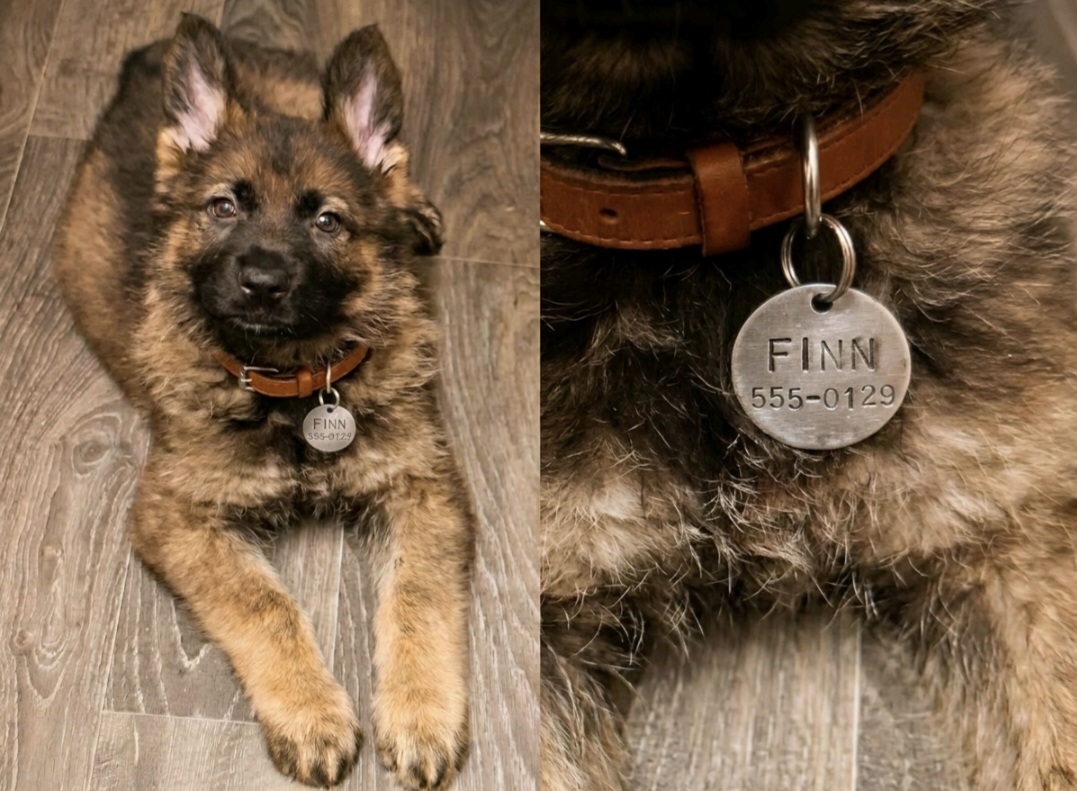 Finn Dog Tag